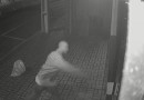 Câmera registra momento que homem quebra porta de loja para furtar