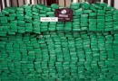 PRF apreende mais de 600 kg de maconha na SC-160