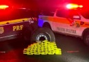 Drogas são encontradas em carreta com donativos que seguia para o RS