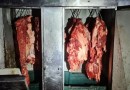 Quase meia tonelada de carne suína é apreendida em abatedouros clandestinos