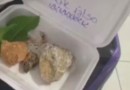 Lanchonete revida golpe de PIX falso com lanche ‘X-Pedra’ e golpista responde: ‘Maravilhoso’
