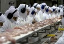 Indústria de alimentos é a que mais emprega no Brasil, diz IBGE