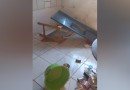 Criança morre após pia de cozinha cair sobre seu corpo