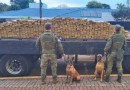 BPFRON e Polícia Federal apreendem 550 quilos de maconha e causam prejuízo de R$ 2 milhões ao crime