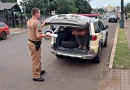 PM recupera motocicleta e prende ladrão momentos após ocorrer o furto
