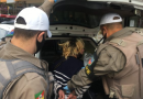 Homem invade sede de escola em Erechim e esfaqueia atendente