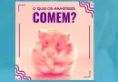 Alimentação apropriada para os hamsters