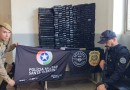 Forças policiais de Chapecó apreendem grande quantidade de maconha e prendem seis pessoas