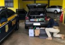 288 garrafas de vinhos importadas irregularmente são apreendidas em Xanxerê