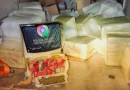 Polícia Militar apreende mais de 200 quilos de maconha durante operação