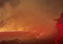 Incêndio em reflorestamento de eucalipto causa prejuízo de R$ 8 mil
