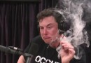Elon Musk se torna o primeiro trilionário da história após estreia da SpaceX na Nasdaq