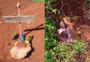 Bebê encontrado morto estava dentro de sacola
