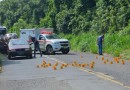 Morre segundo criminoso envolvido no confronto com a PM na SC-283