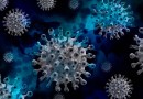 SC inicia o ano com queda nos casos de Covid-19, mas longe do fim da pandemia