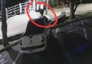 Homem danifica veículo estacionado próximo ao lago