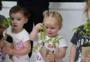 Descanso distribui 1.200 mudas de árvores nativas para escolas em comemoração ao Dia da Árvore