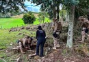 Droga apreendida em chácara é avaliada em mais de R$ 500 mil; suspeito baleado responderá por múltiplos crimes