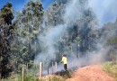 Bombeiros combatem incêndio por mais de 27 horas em área de reflorestamento