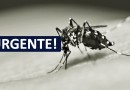Município registra mais duas mortes por conta da dengue