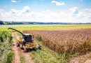 Safra de 2022 atingiu recorde de 263,155 milhões de toneladas, mostra IBGE