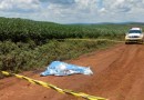 Homem é encontrado morto em estrada rural de Mangueirinha