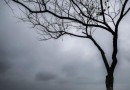 Semana inicia com tempo nublado e temperaturas baixas em toda a região