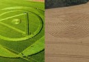 Proprietário de terra que registrou agroglifo conta que esta é a segunda vez que desenhos surgem na plantação