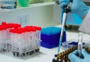 Motoristas profissionais têm até 28 de dezembro para regularizar exame toxicológico