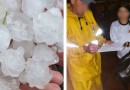 Temporal com granizo danifica casas e derruba árvore