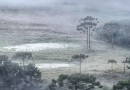 Santa Catarina amanhece com geada e temperaturas abaixo de 5ºC