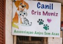 ONG Anjos Sem Asas recebe R$ 100 mil para castração de animais