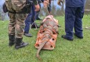 Bombeiros capturam jacaré de grande porte em galeria pluvial