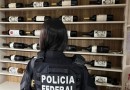 Após apreensão de 600 garrafas de vinho argentino, cidades de SC são alvos de operação policial