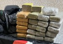 Homem é preso com mais de 15 kg de maconha e skunk em ônibus na SC-155
