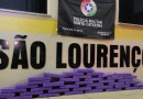 Jovem é preso transportando mais de 30 kg de maconha