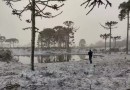 Com El Niño, inverno em SC promete ser atípico e ter chuva forte, pouco frio e neve