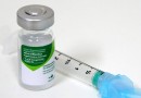 Mais de 270 mil doses da vacina contra a gripe já foram aplicadas em SC