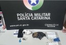 PM prende duas pessoas por tráfico de drogas e associação para o tráfico