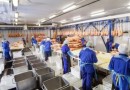 Trabalhadora de frigorífico será indenizada por sofrer humilhações e ter alimentos jogados durante expediente