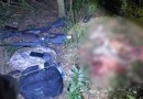 Polícia flagra caçadores com fuzil abatendo animais perto de parque estadual no PR