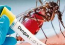 Município confirma primeiro óbito por dengue e 2.348 casos da doença