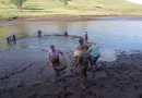 Agricultores iniciam vendas para a tradicional Feira do Peixe da Semana Santa