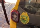 Adolescente de 15 anos é apreendido após ameaçar a mãe com facão em Cascavel