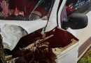 Motorista fica ferido após Fiorino bater contra árvore