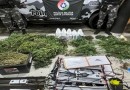 Polícia localiza estufa com plantação de maconha no Litoral de SC