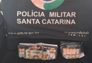 Polícia Militar apreende medicamentos, anabolizantes e cigarros eletrônicos em ação de contrabando