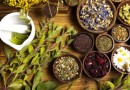 Cinco plantas medicinais que você deve ter no jardim de casa