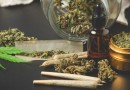 Maconha pode aumentar risco de morte por infarto e derrame, afirma estudo