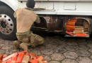 Cão farejador da PRF encontra 581 quilos de maconha escondidos em carreta na BR-282